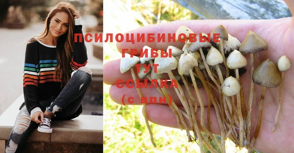 а пвп мука Арсеньев