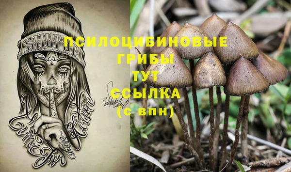 а пвп мука Арсеньев